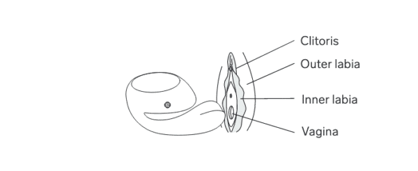 Dibujo de cómo colocar el vibrador LELO IDA Wave: introducir la cola insertable en la vagina y apoyar la parte más puntiaguda de la base en el clítoris dejando la placa dorada hacia arriba.